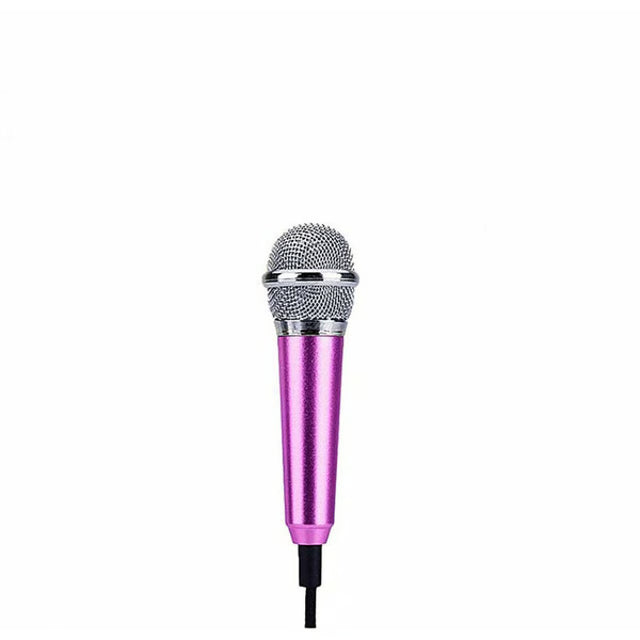 Portable Mini Microphone
