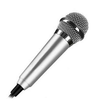 Portable Mini Microphone
